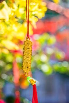 ngân hàng 8Day